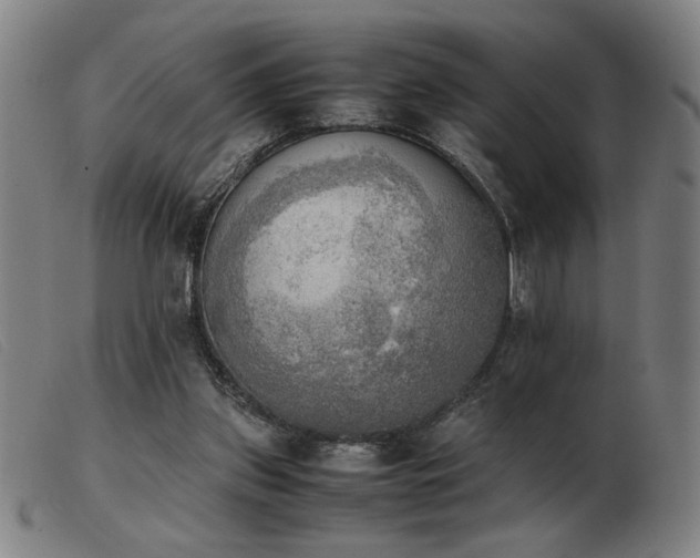 X0000103900157200809191247