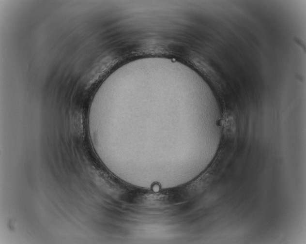 X0000103900158200809191247