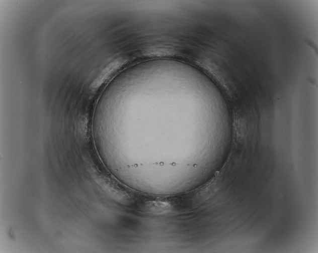 X0000103900159200809191247