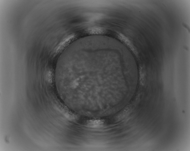 X0000103900161200809191247
