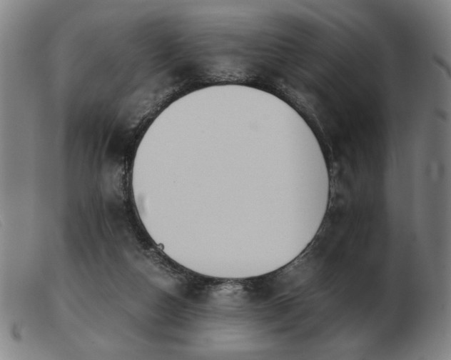 X0000103900162200809191247