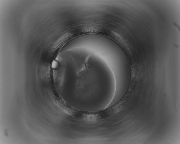 X0000103900163200809191247