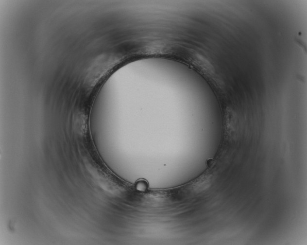 X0000103900164200809191247