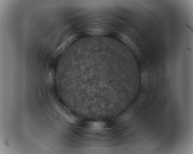 X0000103900165200809191247