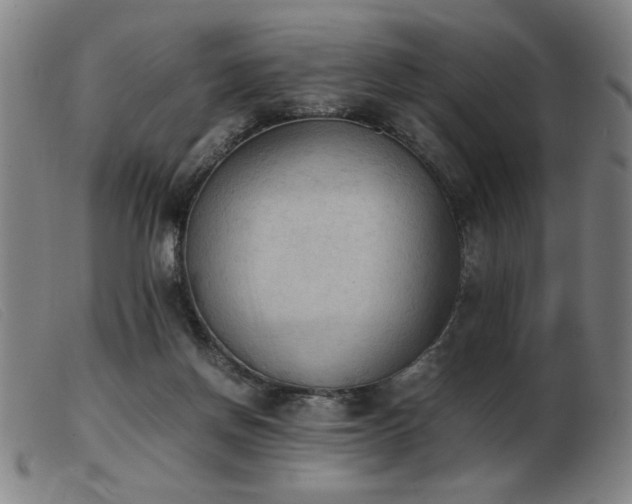 X0000103900166200809191247