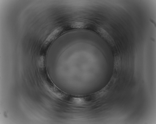 X0000103900167200809191247