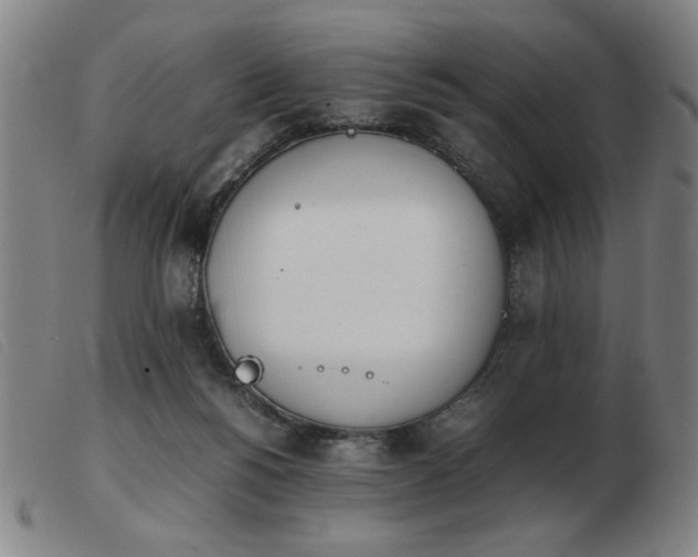 X0000103900168200809191247