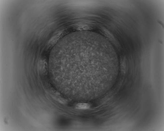 X0000103900169200809191247