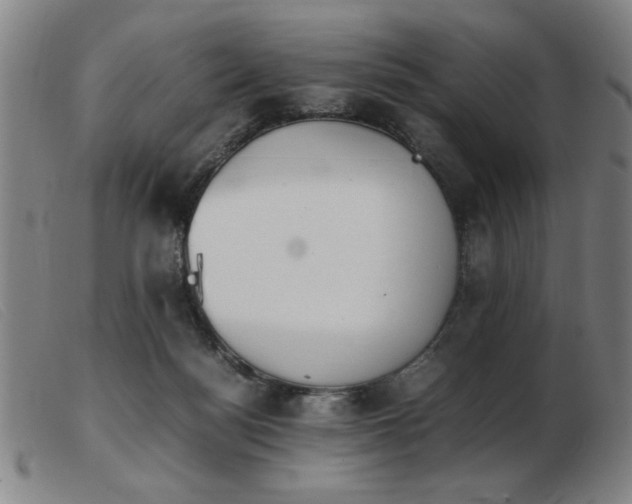 X0000103900172200809191247