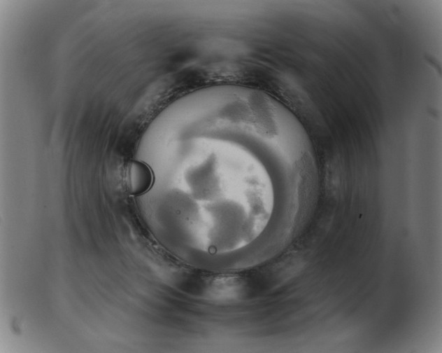 X0000103900173200809191247
