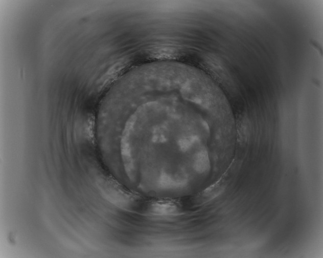 X0000103900175200809191247