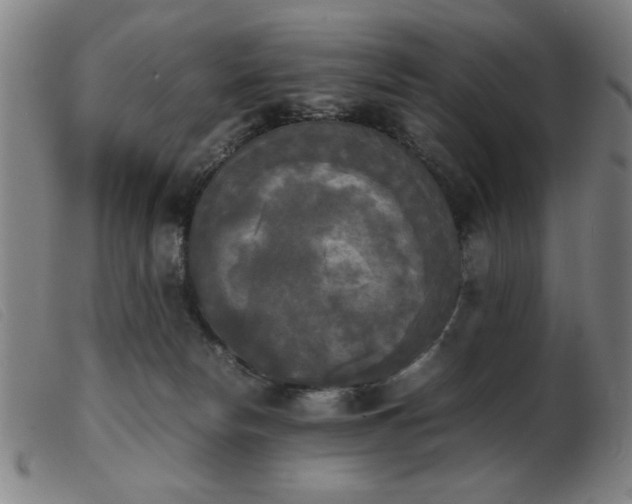 X0000103900178200809191247