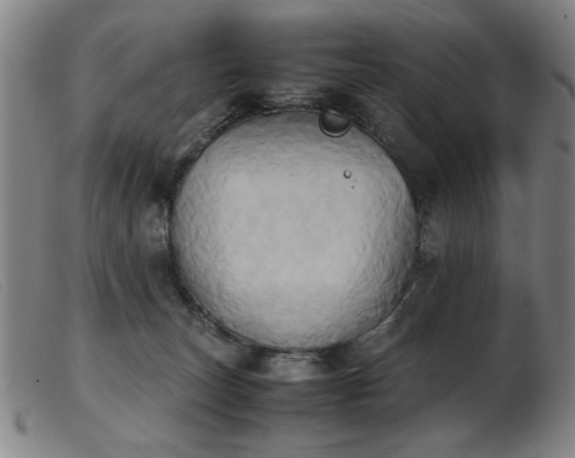 X0000103900179200809191247