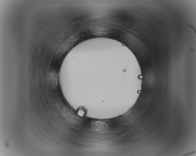 X0000103900180200809191247