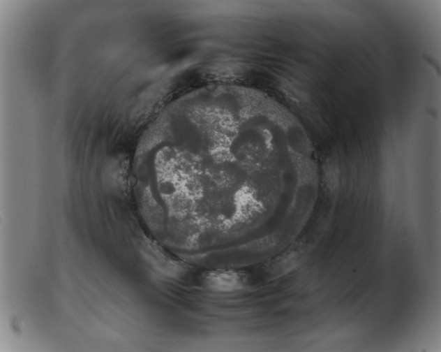 X0000103900181200809191247