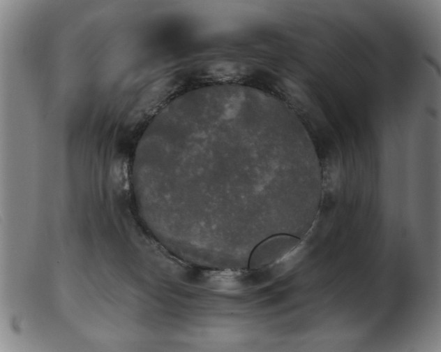 X0000103900182200809191247