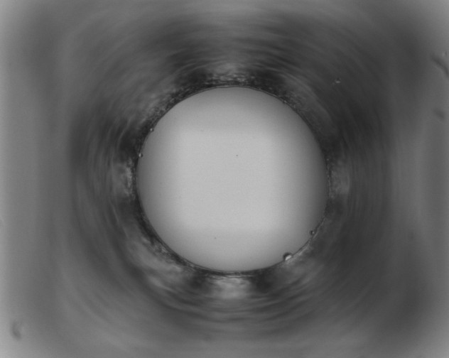 X0000103900183200809191247
