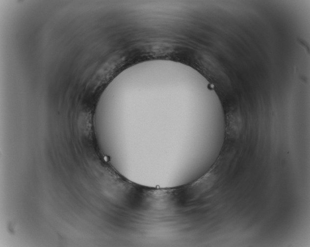 X0000103900184200809191247