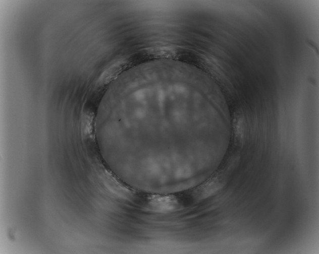 X0000103900185200809191247