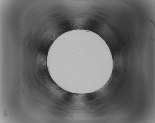 X0000103900186200809191247
