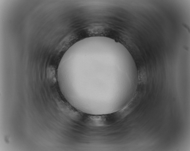 X0000103900187200809191247