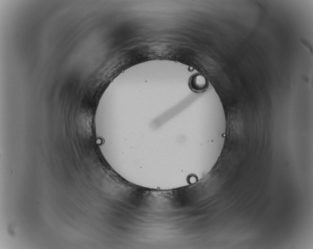 X0000103900188200809191247