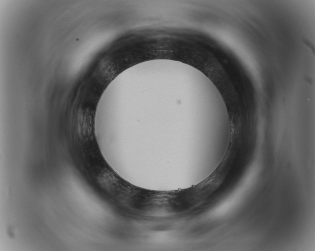 X0000103900190200809191247