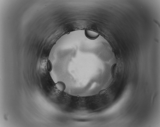 X0000103900191200809191247