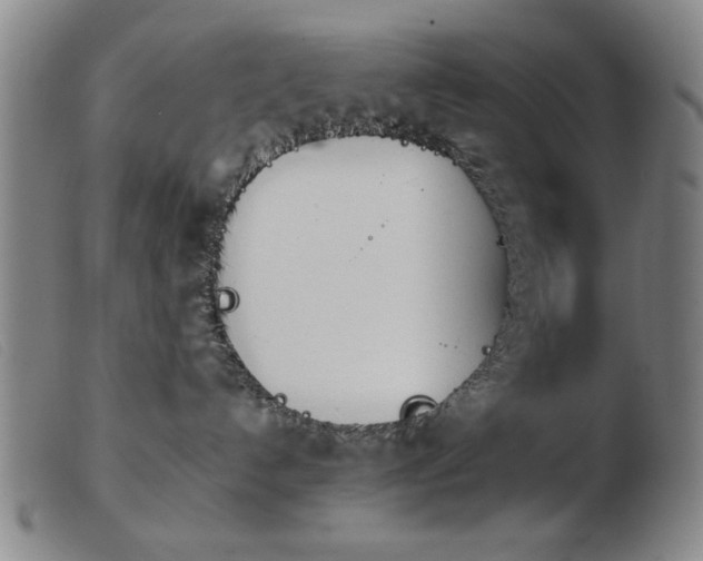 X0000103900192200809191247