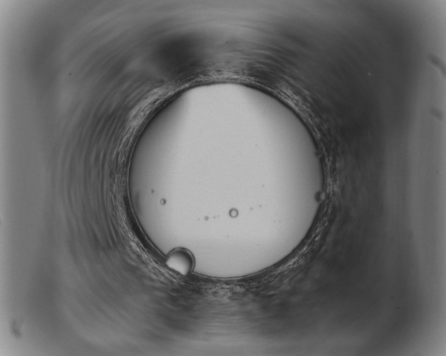 X0000103900193200809191246