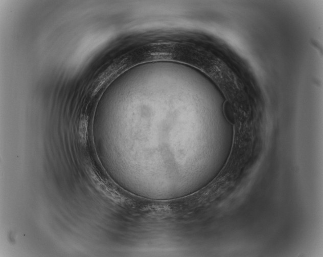 X0000103900194200809191246