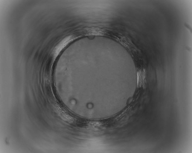 X0000103900195200809191246