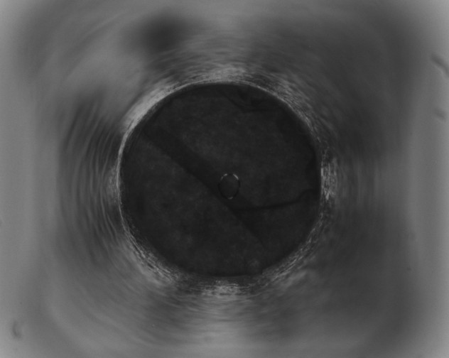 X0000103900196200809191246