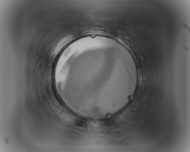 X0000103900199200809191246