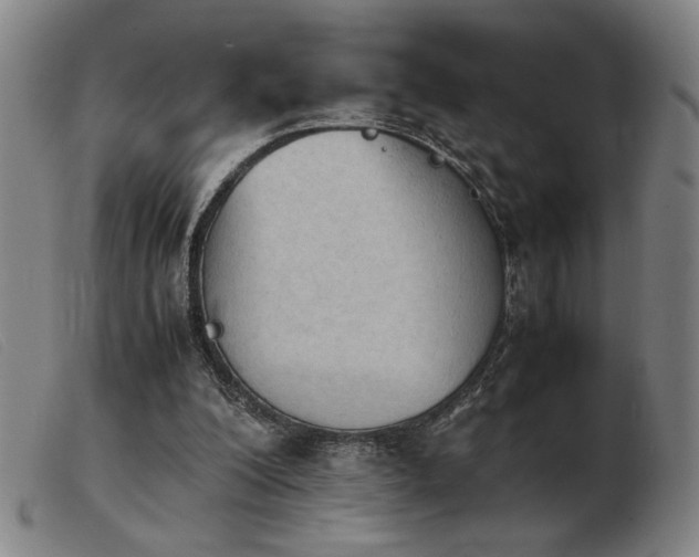 X0000103900200200809191246