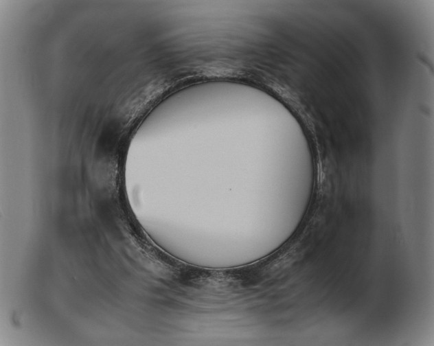 X0000103900201200809191246