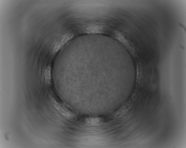 X0000103900202200809191246