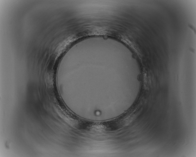 X0000103900203200809191246