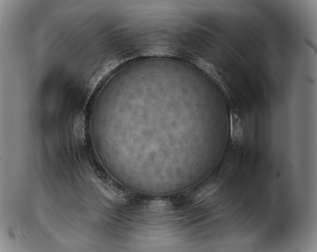 X0000103900204200809191246