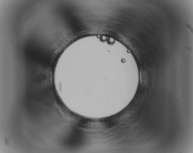 X0000103900205200809191246