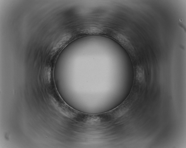 X0000103900206200809191246