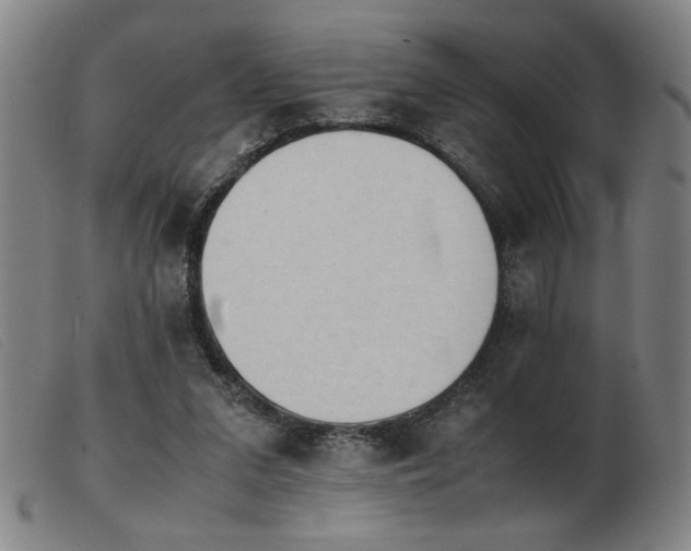 X0000103900207200809191246