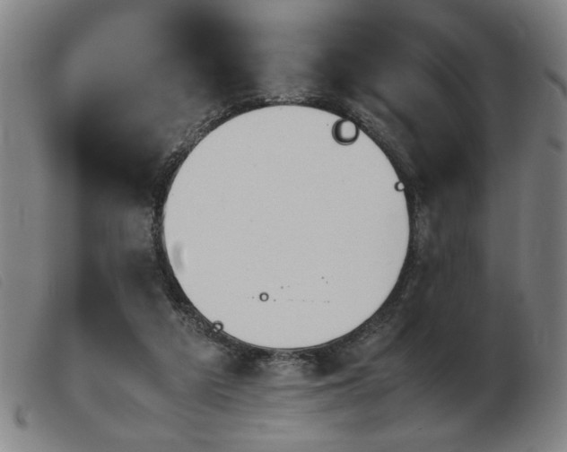 X0000103900209200809191246