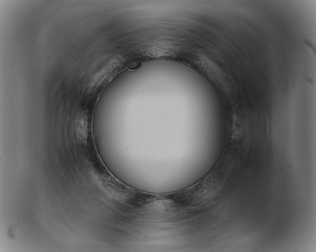 X0000103900210200809191246
