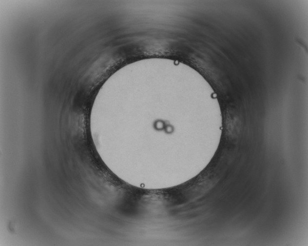 X0000103900211200809191246