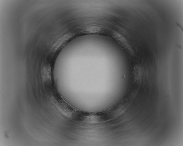 X0000103900212200809191246
