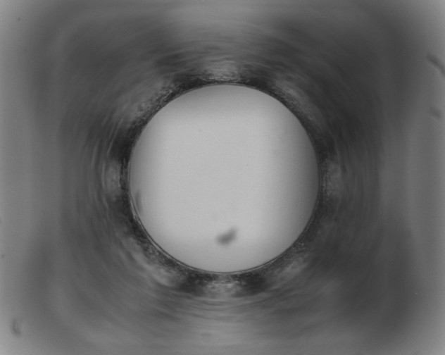 X0000103900213200809191246