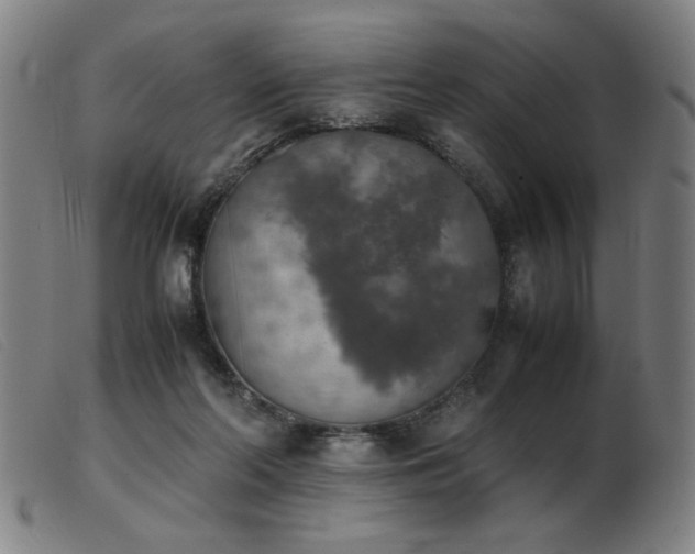 X0000103900214200809191246