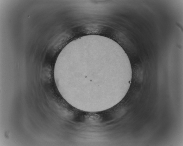 X0000103900215200809191246