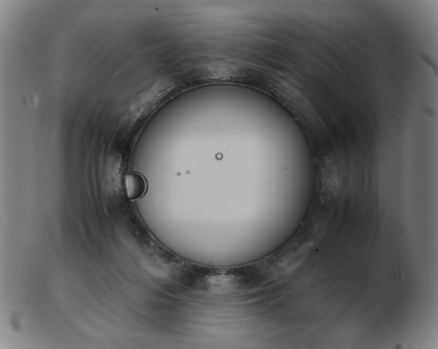 X0000103900216200809191246